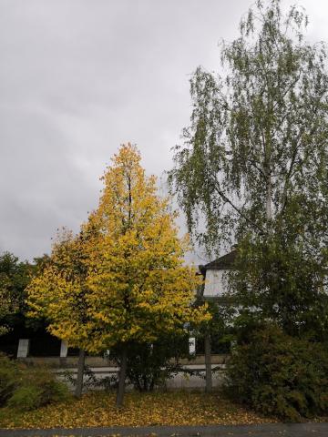 Fotografie Třeboň, aut. nádr.