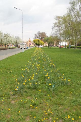 Fotografie Autobusové nádraží Prostějov